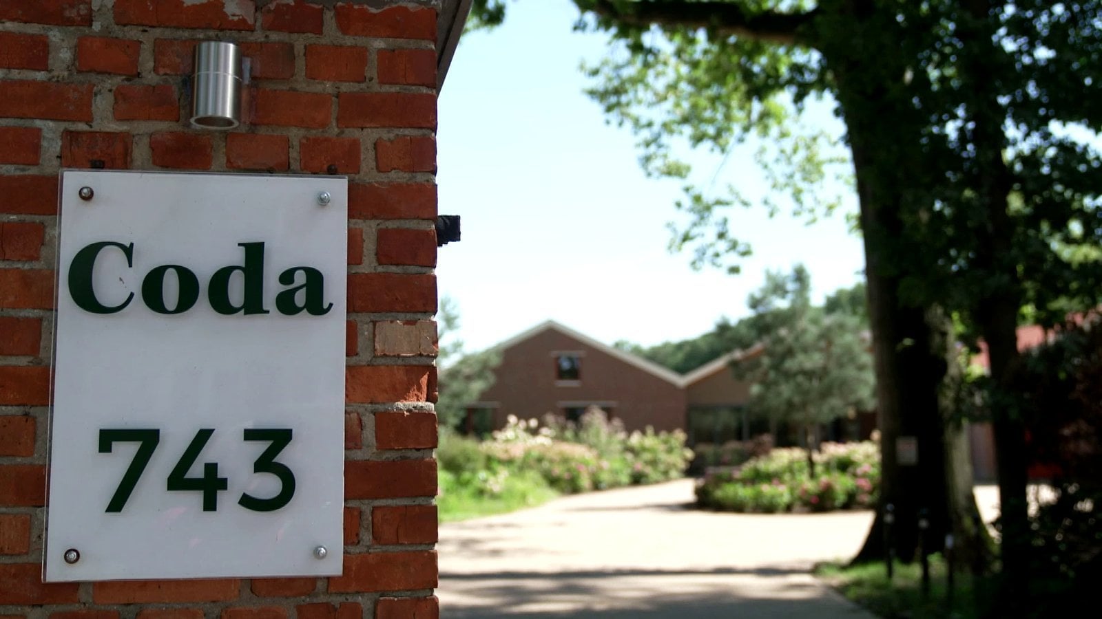 Should Ireland allow euthanasia? We went to see how it can work