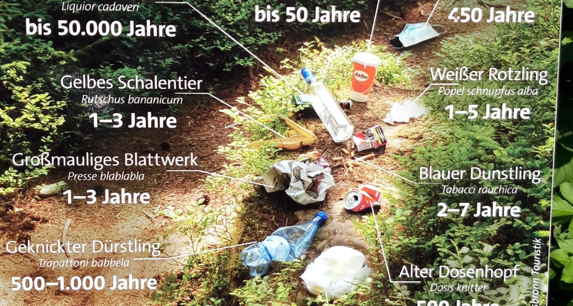 Unbeliebte Naturbewohner
