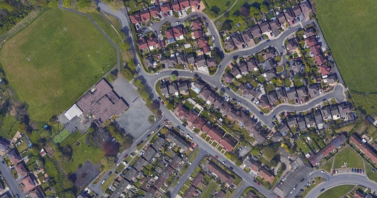 XL bully escaped from lead and attacked another dog