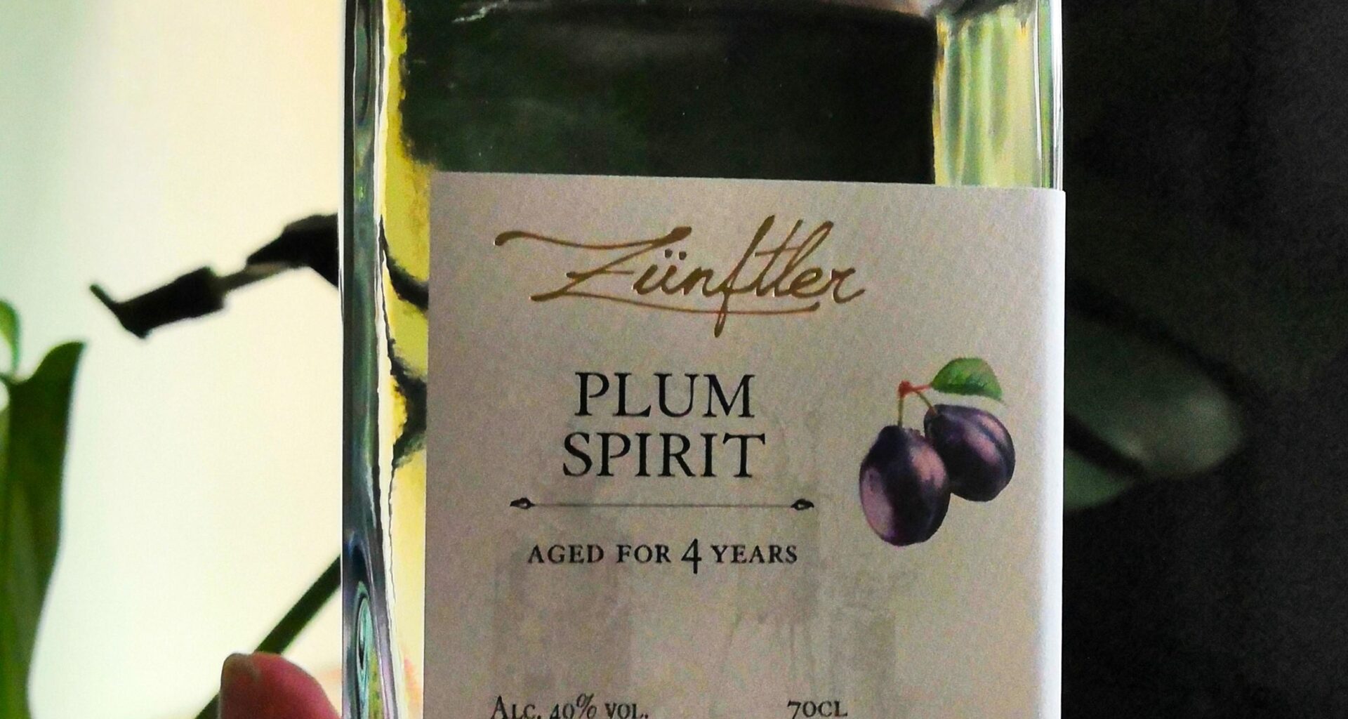 Tak jsem dneska dostal slivovici z Anglie. Myslíte, jestli bude lepší než ta z Moravy?