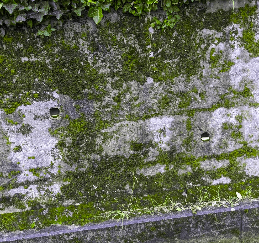 Warum liegt hier Zucchini in der Wand?