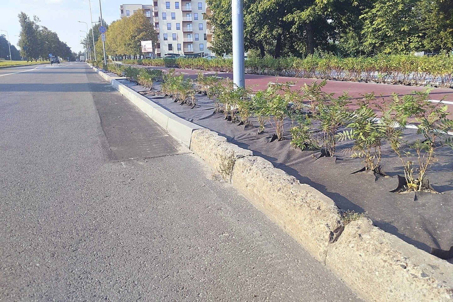 Gatvės gatvelės, trinkos trinkelės