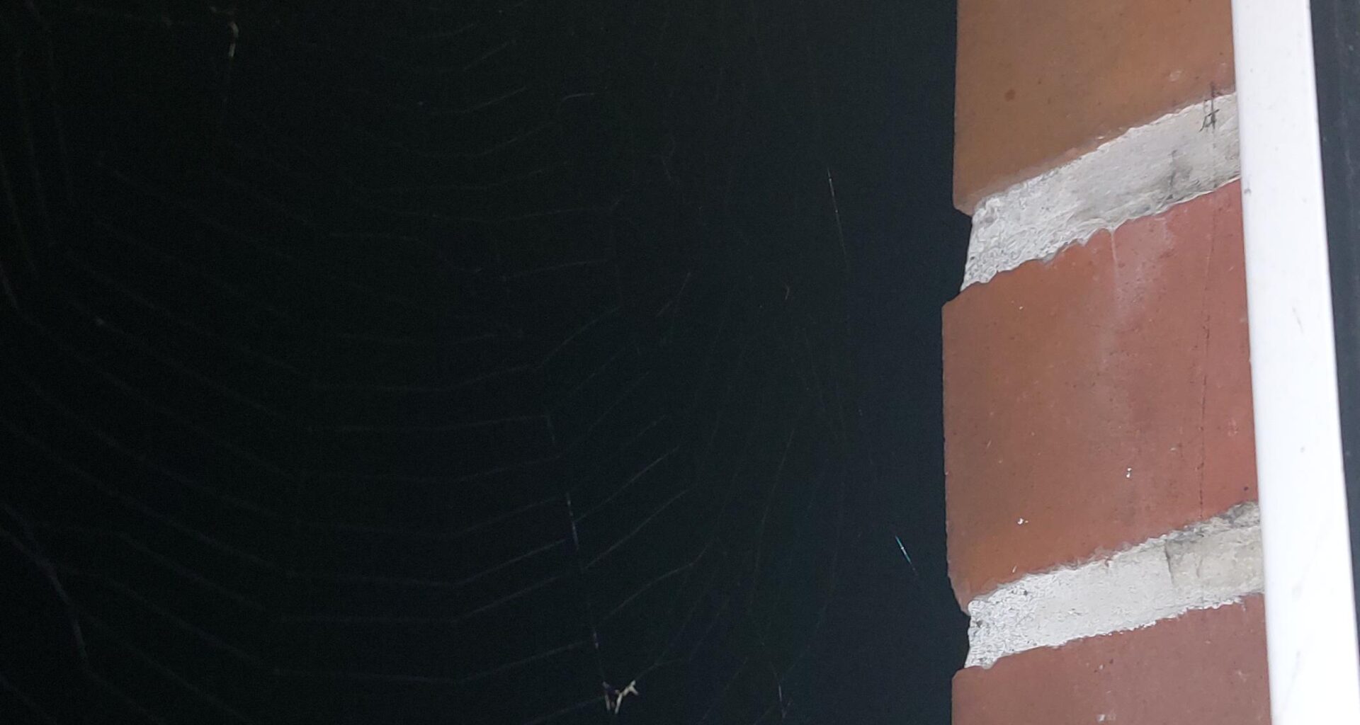 Endlich hab ich Thorstens Netz gefunden!