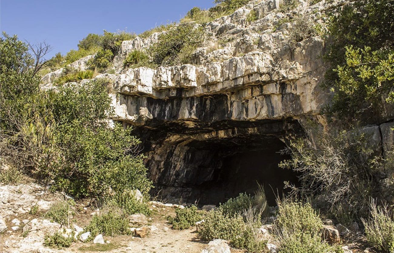 Descubren una de las mayores concentraciones de arte paleolítico de la Península Ibérica en la Cova Dones en Valencia