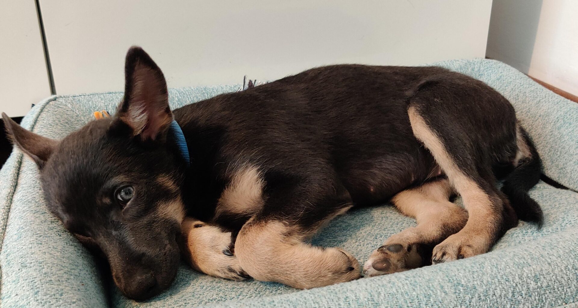 Pekný skrátený týždeň všetkým✌️