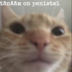 Tänään on perjantai!