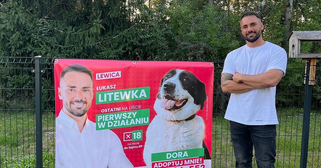 Na banerach ma samotne zwierzęta zamiast liderów partyjnych. "Dawno powinni zostać wybrani"