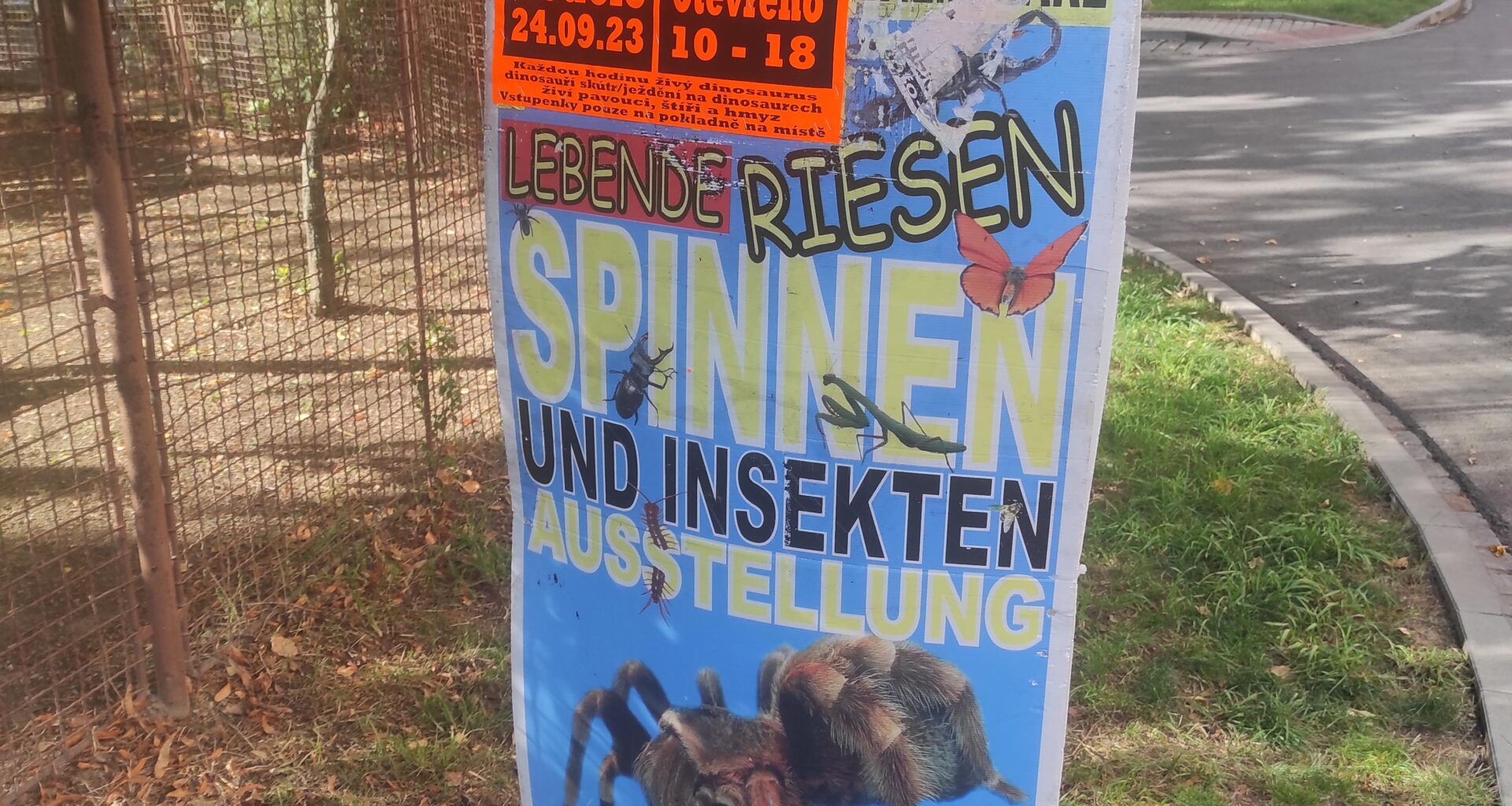 Živé dinosaury beru ale zbytku fakt nerozumím - ochutnávka nebo výstava hmyzu? PS: Jsem se té tarantule normálně lekl