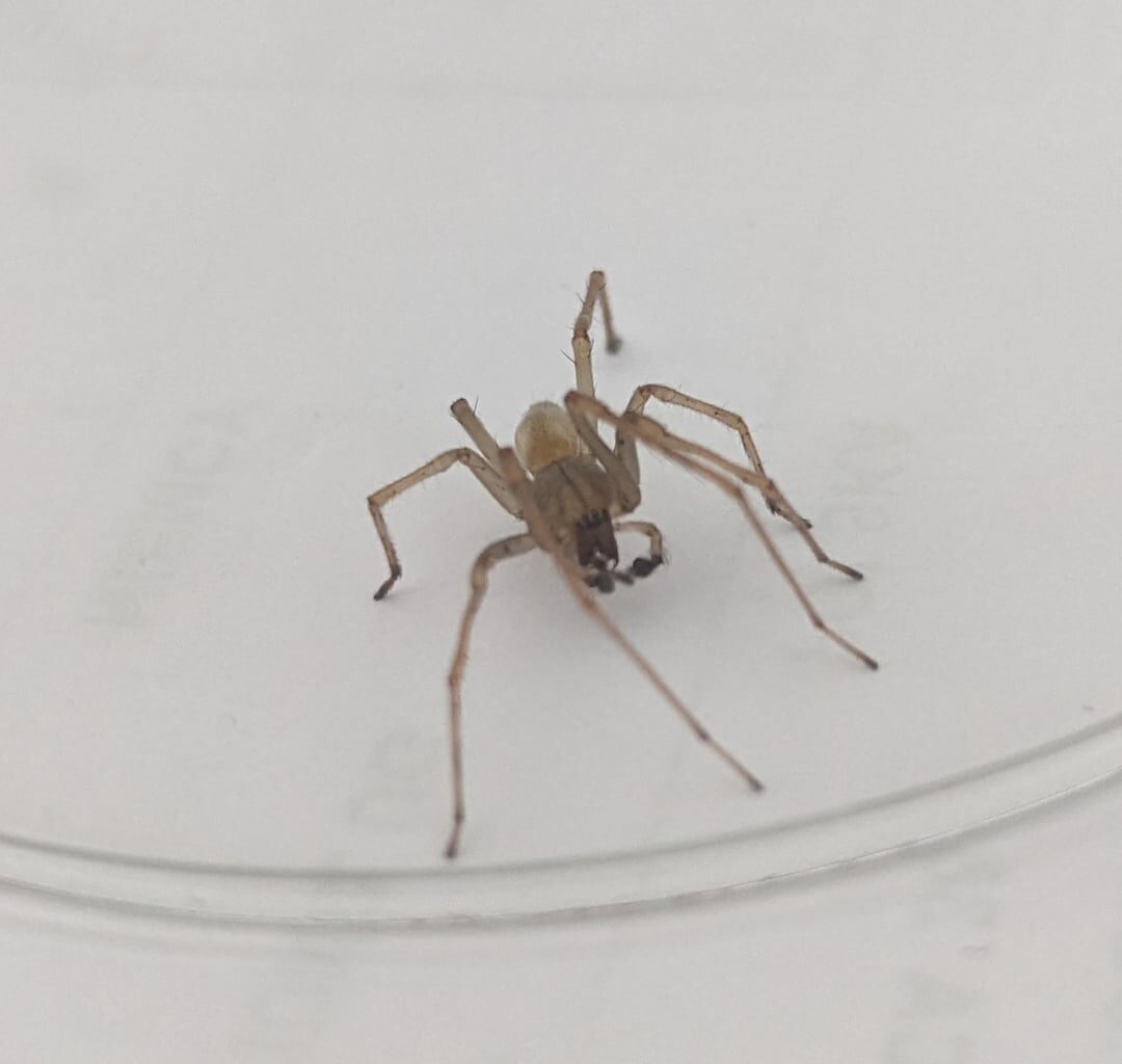 Wer kam uns besuchen?