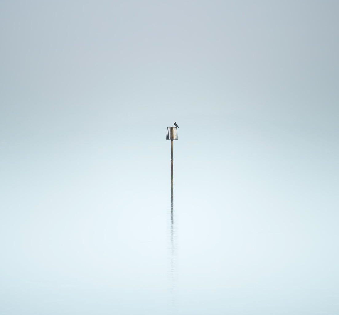An image made in the fog last week, Northern Ireland.