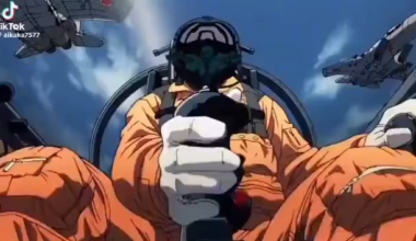 la meilleure "phonque" du moment