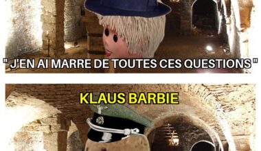 Meme journalier