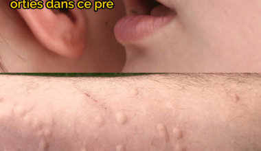 c'était prévisible