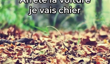 Pas facile d'être un minimoy