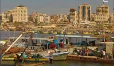 "Fiore di Palestina" une très belle chanson du groupe corse Vitalba sur la Palestine