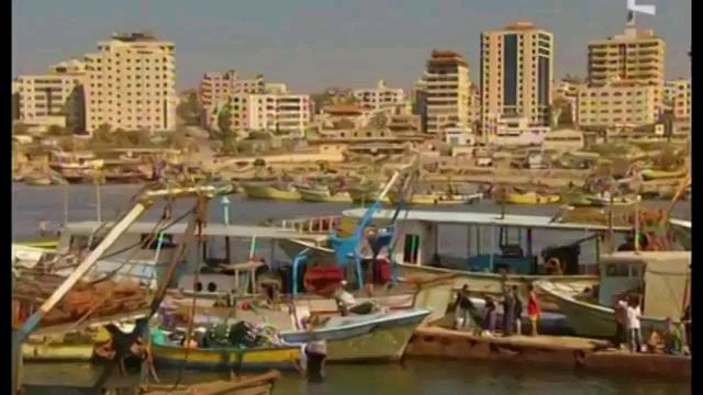 "Fiore di Palestina" une très belle chanson du groupe corse Vitalba sur la Palestine