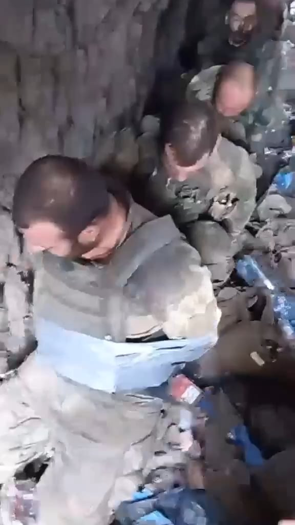 No Watermark Clearer Video: captured soldiers of the 108th regiment, captured positions near Verbovoy