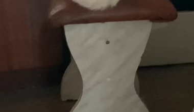 Maybe maybe kitty peach???