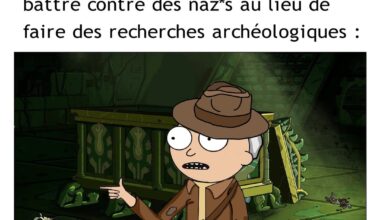 Memes journalier