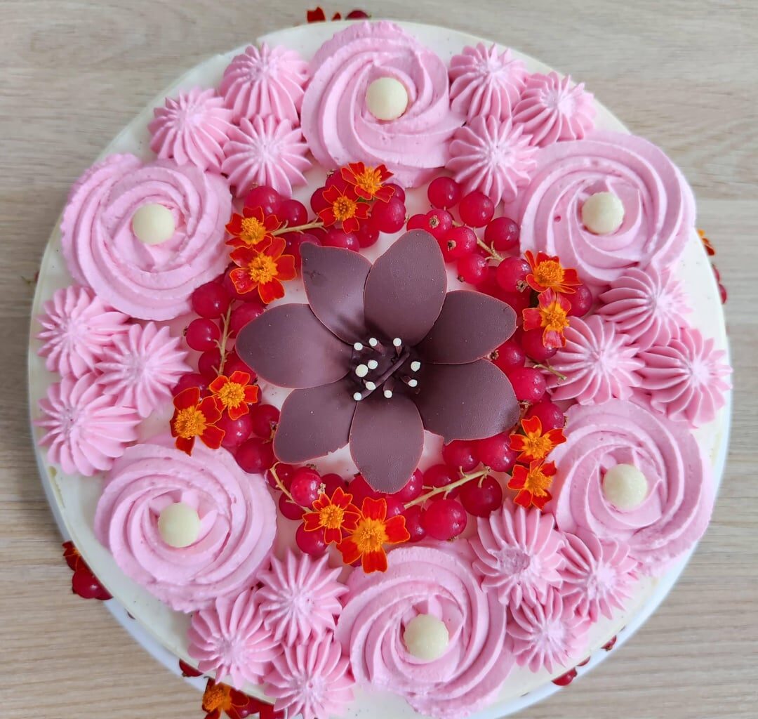 Entremets chocolat blanc vanille framboise