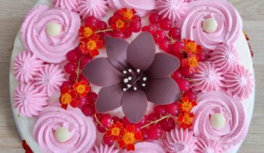 Entremets chocolat blanc vanille framboise