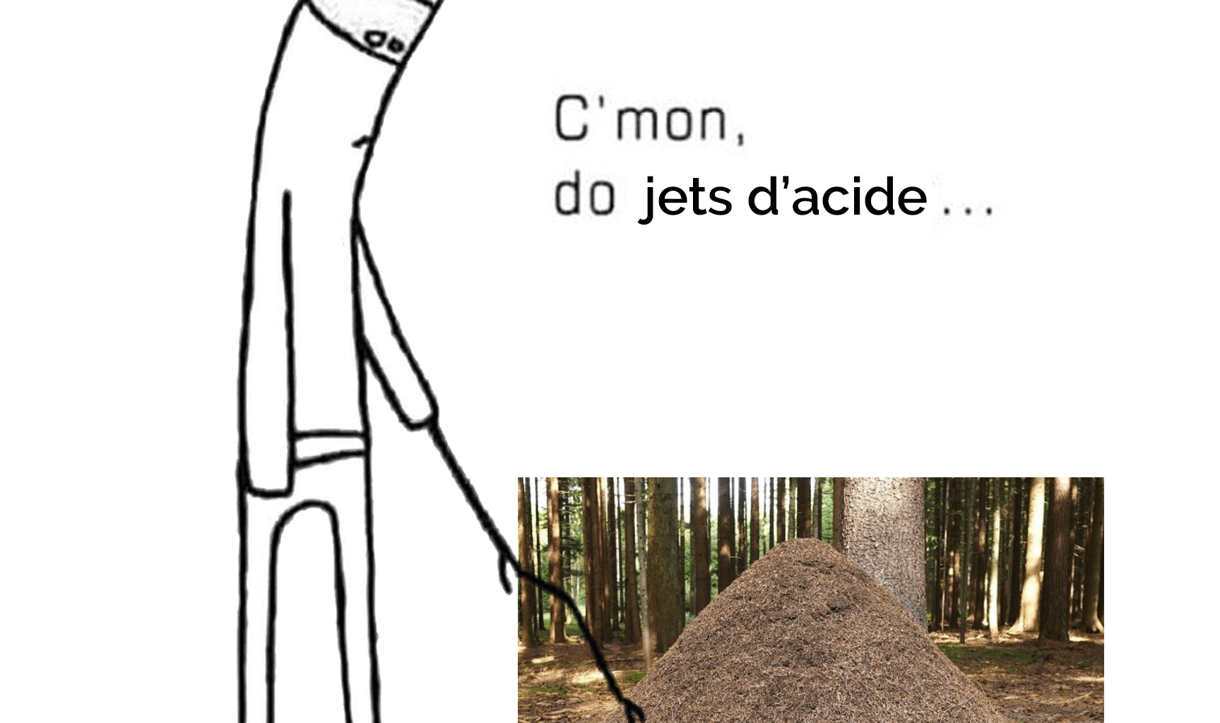 C'est pas bien de péter les fourmilières mais ptn quel kiff c'était