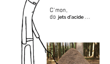 C'est pas bien de péter les fourmilières mais ptn quel kiff c'était