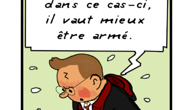 Meme journalier