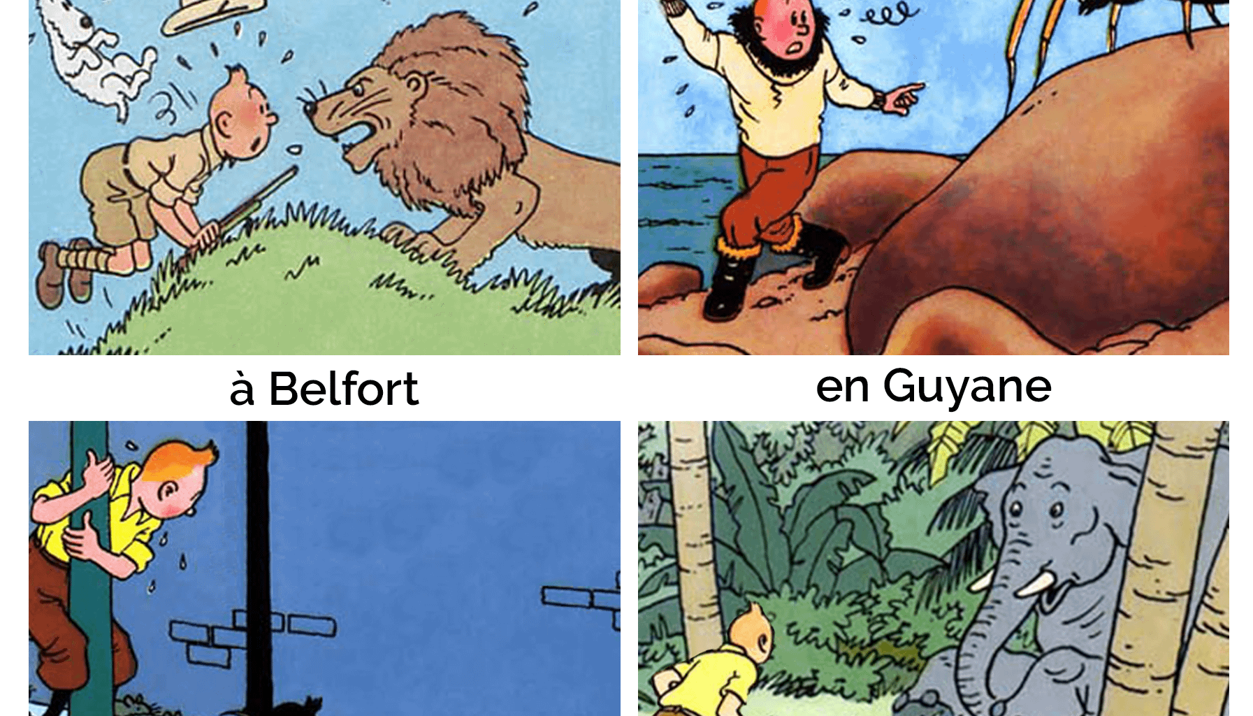 petit tour d'horizon