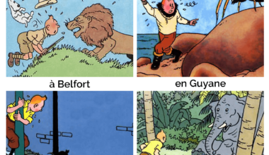 petit tour d'horizon
