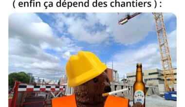 Memes journalier