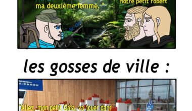 Meme journalier