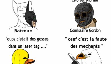 Meme journalier