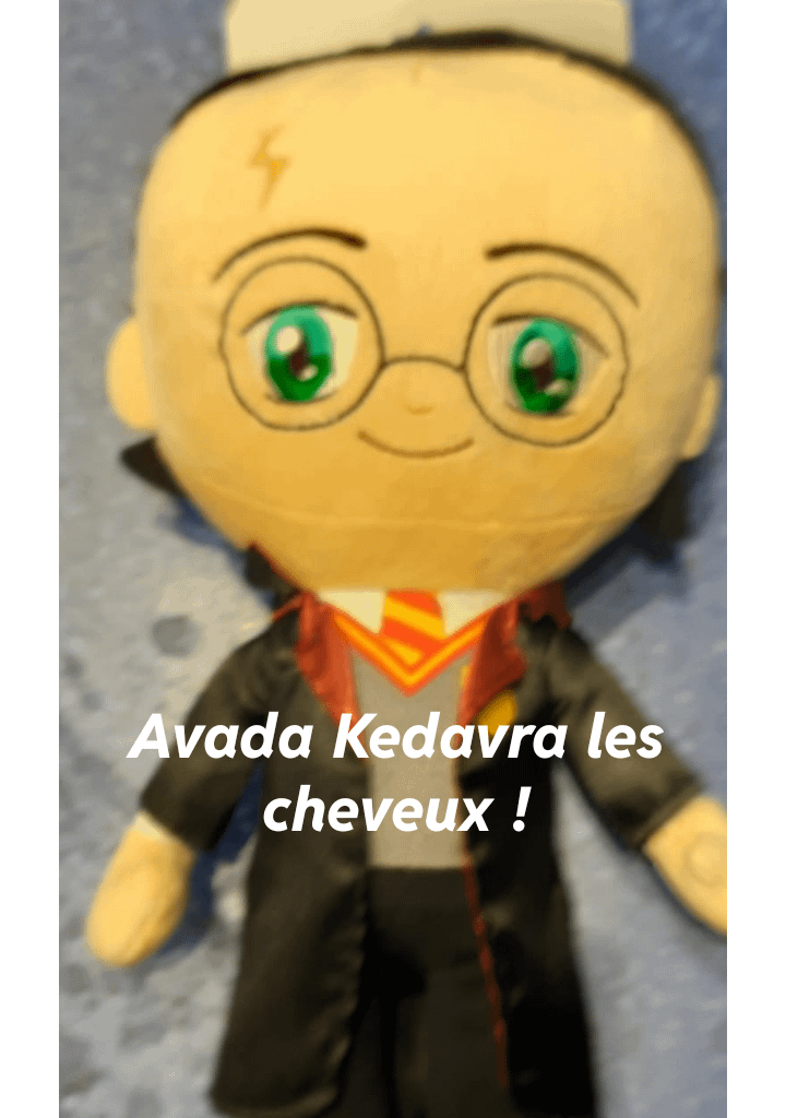 Un petit meme