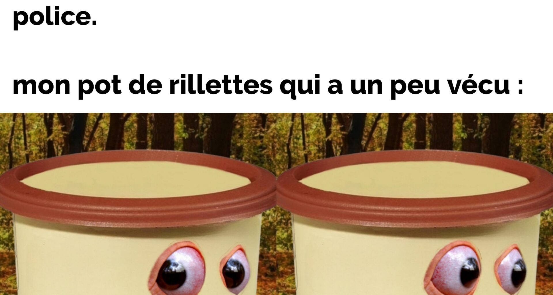 Les fameuses fillettes du Mans