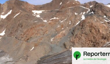 Dans les Alpes, des obsèques pour les glaciers disparus