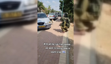 Israel hasn't forgotten the dogs that were left behind when everyone fled on Oct. 7