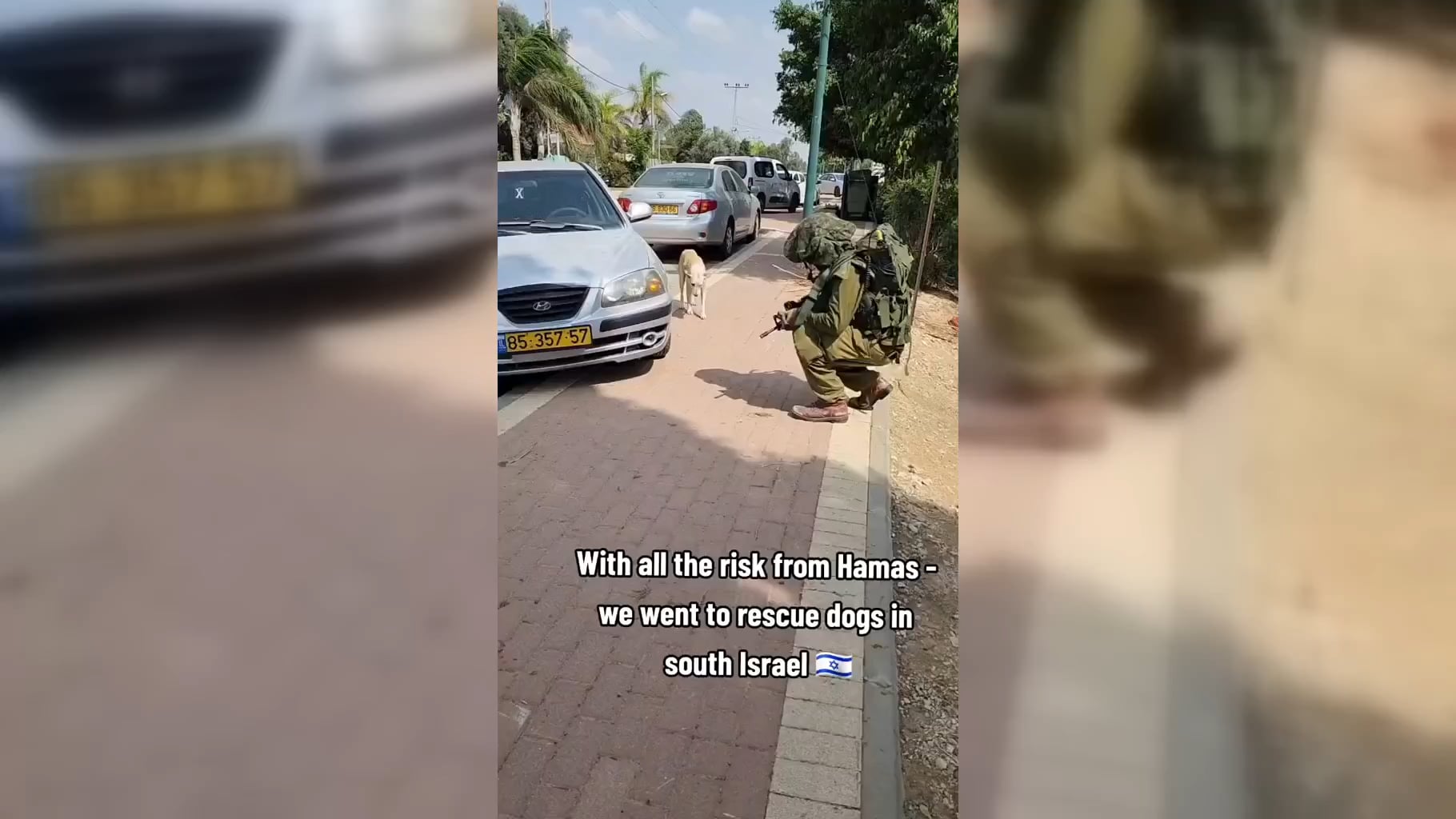 Israel hasn't forgotten the dogs that were left behind when everyone fled on Oct. 7