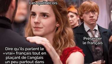 "on utilise pas d'anglicisme par contre on parle anglais la moitié du temps"