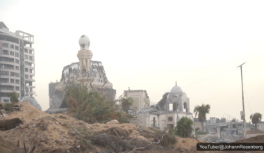 IDF in action in Gaza: Snipers, bomb sniffing dog, explosions
