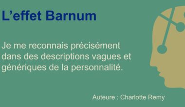 Le modèle de personnalité MBTI - ma critique