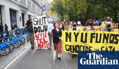 ‘McCarthyite backlash’: response to criticism of Israel alarms rights groups | Freedom of speech