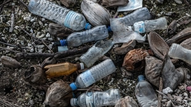 Ottawa to appeal court ruling that overturned order listing plastics as toxic substance