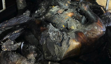 Mutilated and burnt bodies from October 7th