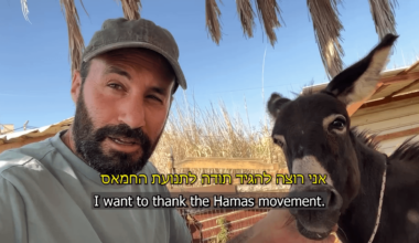 Israeli comedian “Abu Table” sends message to Hamas leaders in Arabic - Part II - The Consequences