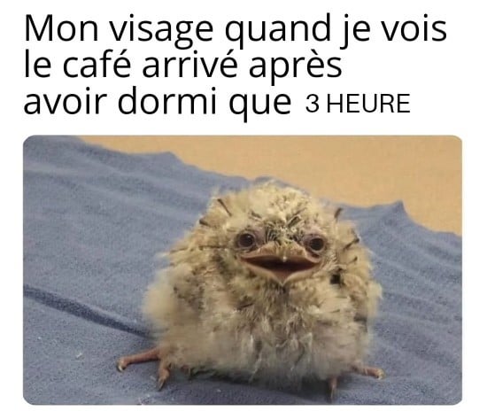 Le saint bevrage