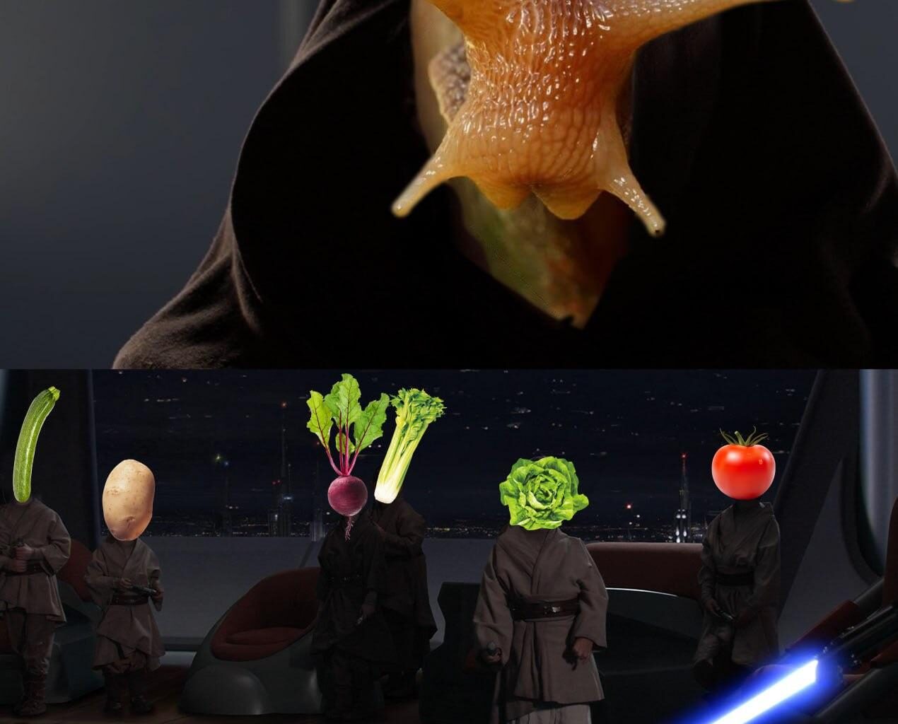 La terreur du potager