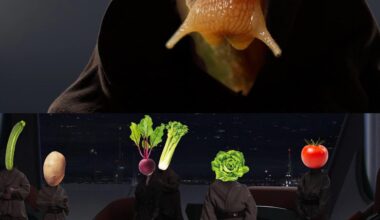 La terreur du potager