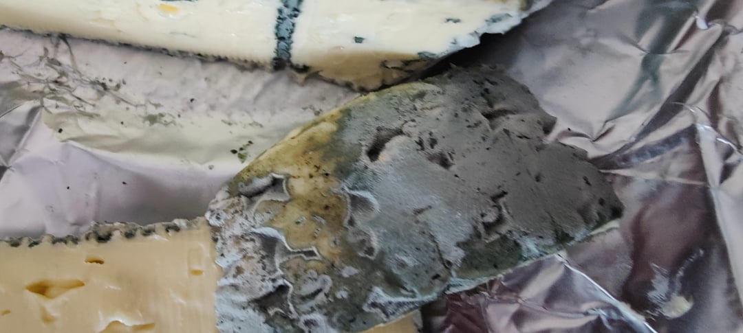 Bavaria Blu der würzige schimmelt?