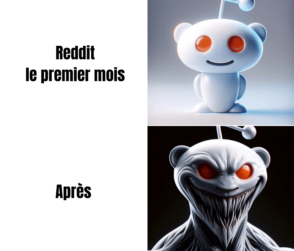 Une expérience inoubliable
